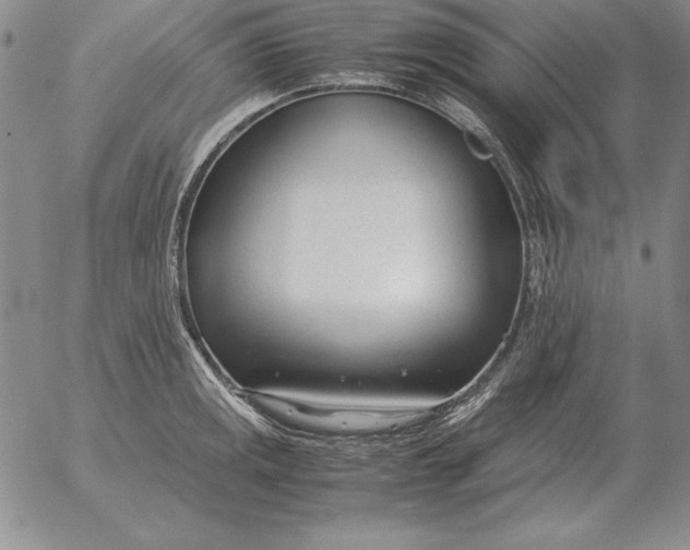 X0000053111141200508012118