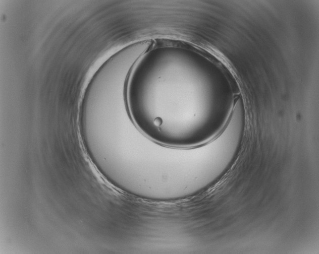 X0000053111144200508012118