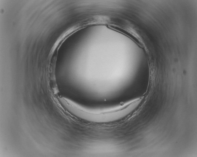 X0000053111146200508012118