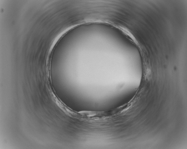 X0000053111148200508012118