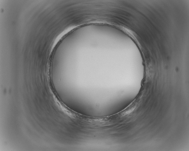 X0000053111149200508012118