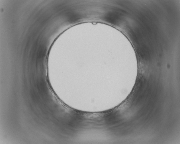 X0000053111150200508012118