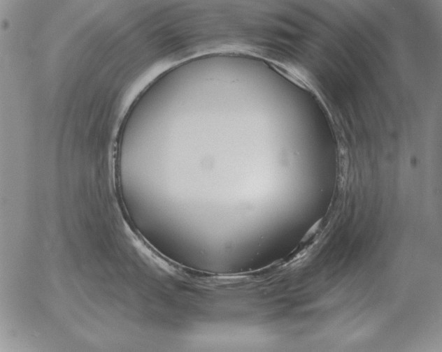 X0000053111151200508012118