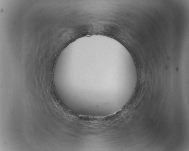 X0000053111153200508012117