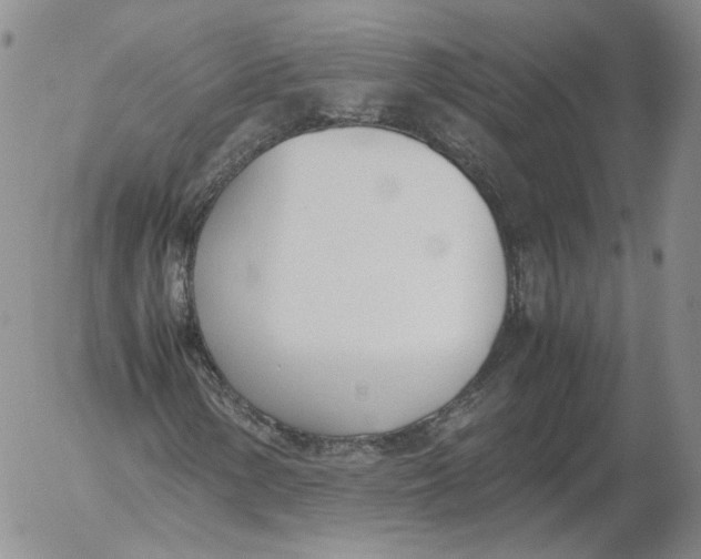 X0000053111154200508012117