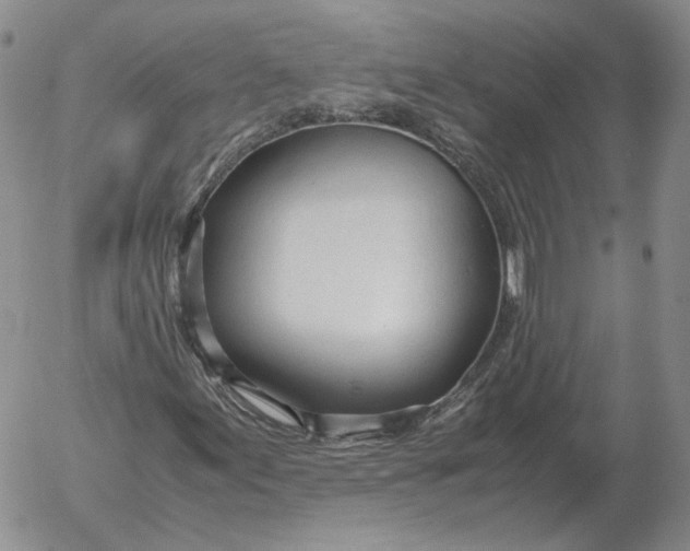 X0000053111155200508012117