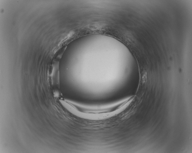 X0000053111156200508012117