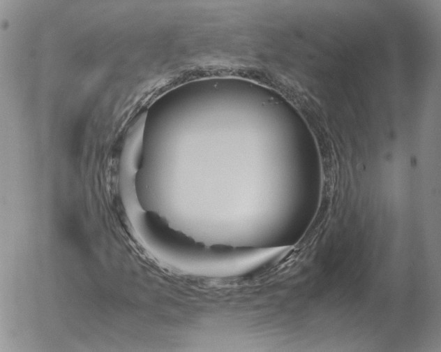 X0000053111157200508012117