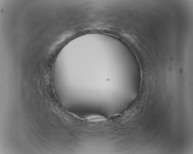 X0000053111159200508012117