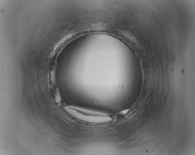 X0000053111160200508012117