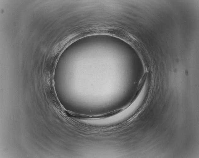 X0000053111161200508012117