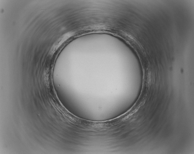 X0000053111162200508012117