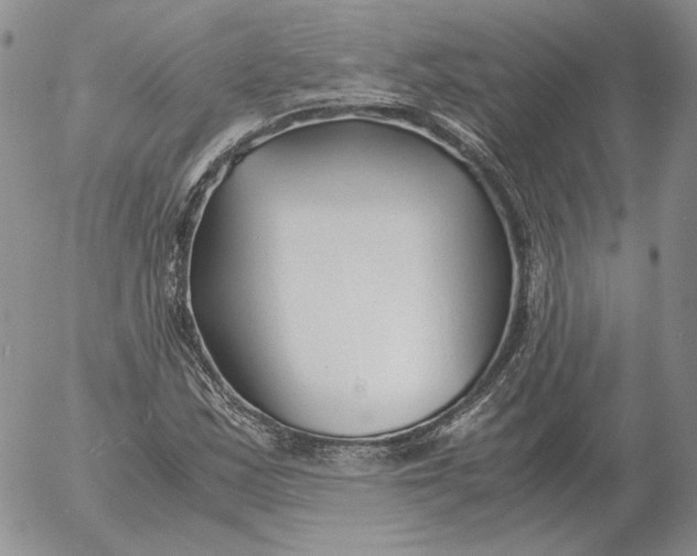 X0000053111163200508012117