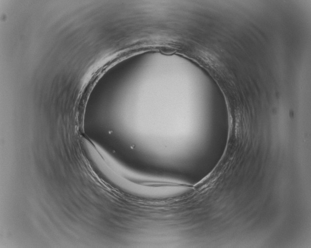 X0000053111164200508012117