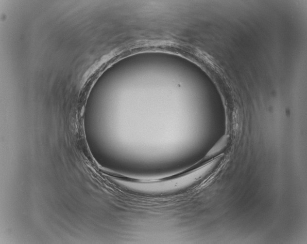 X0000053111165200508012117