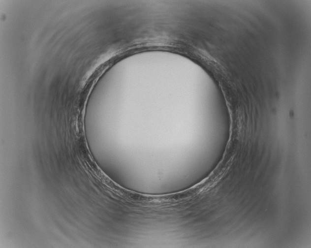 X0000053111166200508012117