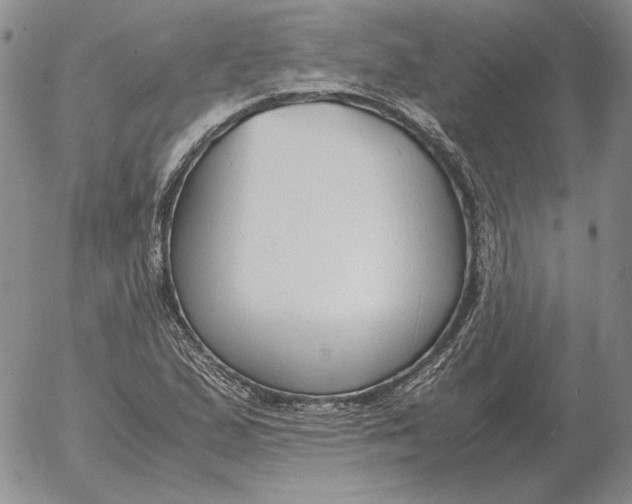 X0000053111167200508012117