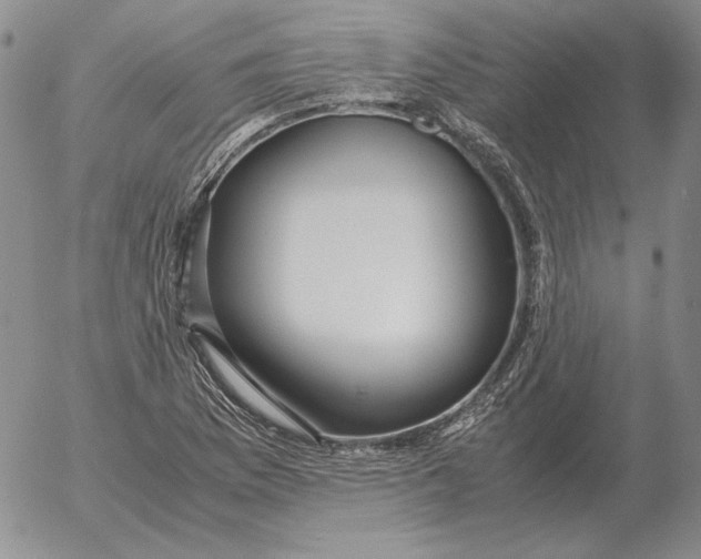 X0000053111169200508012117