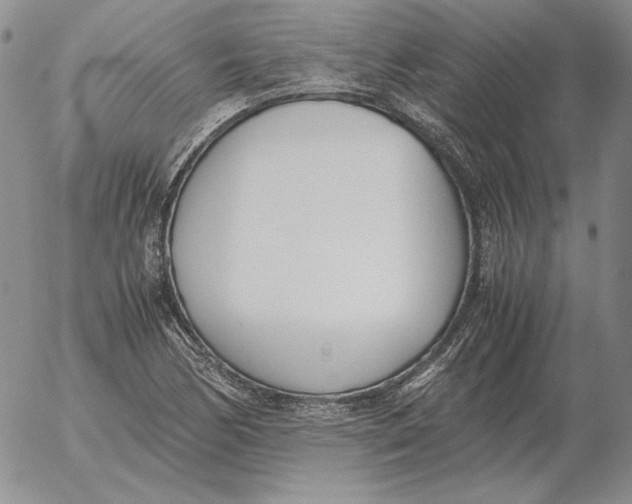 X0000053111170200508012117