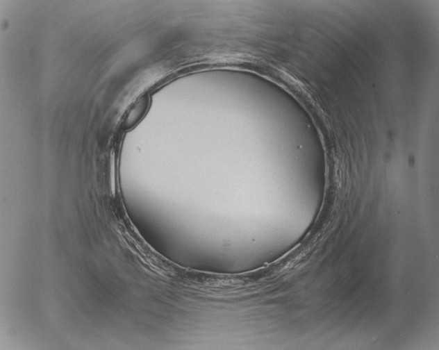 X0000053111171200508012117