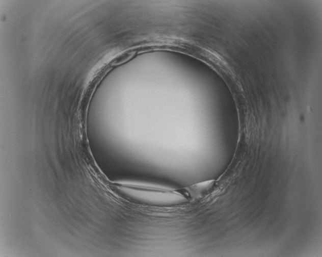 X0000053111172200508012117