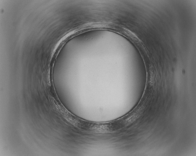 X0000053111174200508012117