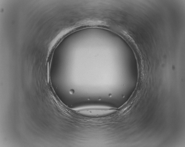 X0000053111175200508012117