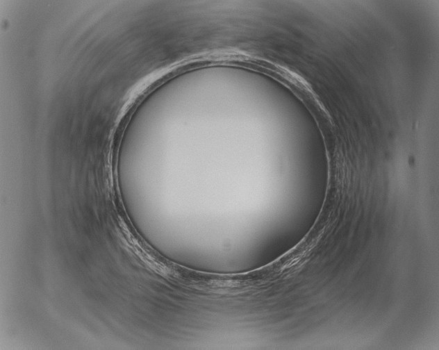 X0000053111176200508012117