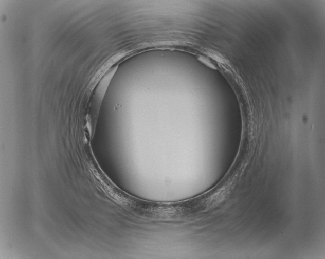 X0000053111177200508012117