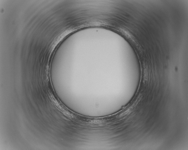 X0000053111178200508012117