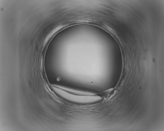 X0000053111179200508012117