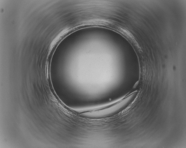 X0000053111180200508012117