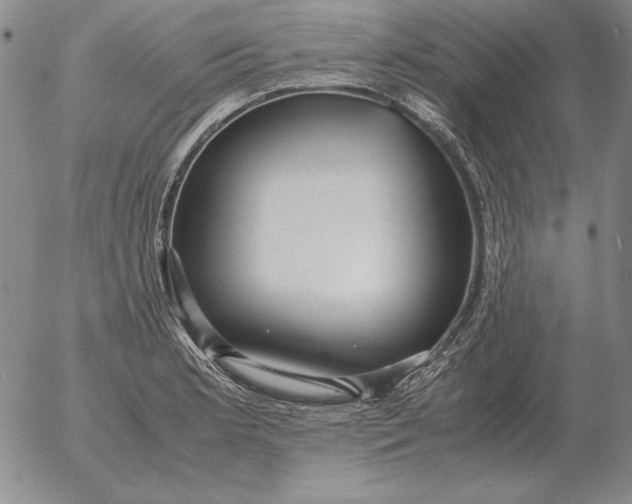 X0000053111181200508012117