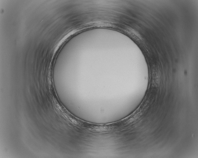 X0000053111182200508012117