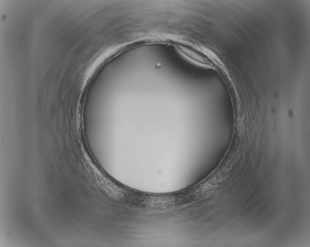 X0000053111183200508012117