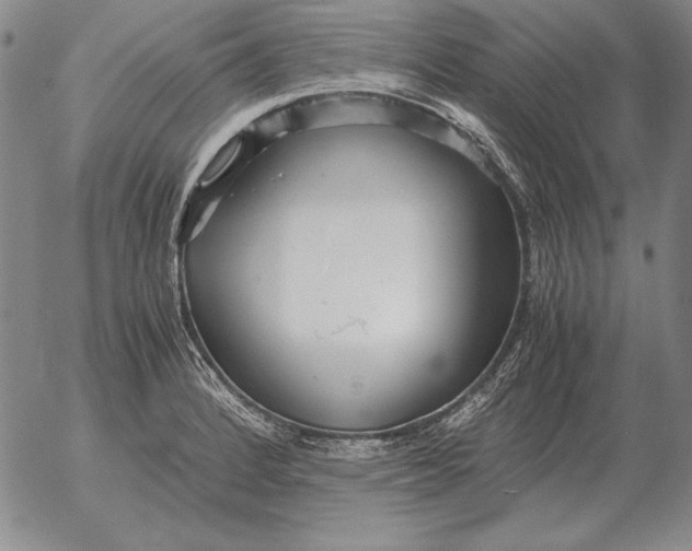 X0000053111184200508012117