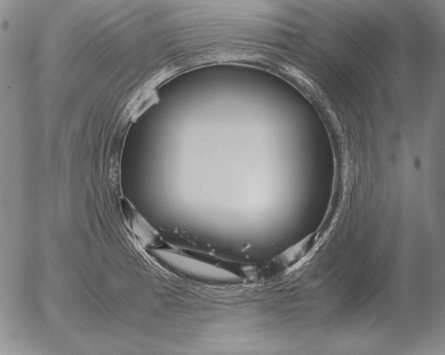 X0000053111185200508012117