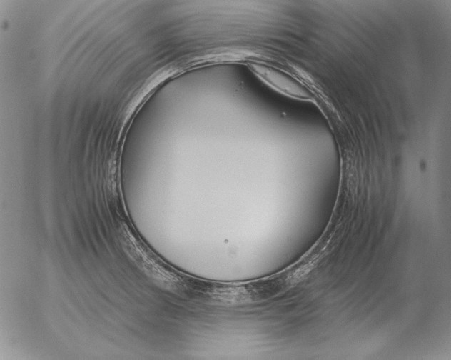 X0000053111186200508012117