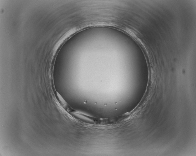 X0000053111189200508012116