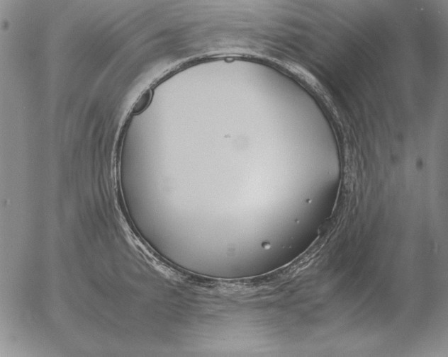 X0000053111191200508012116