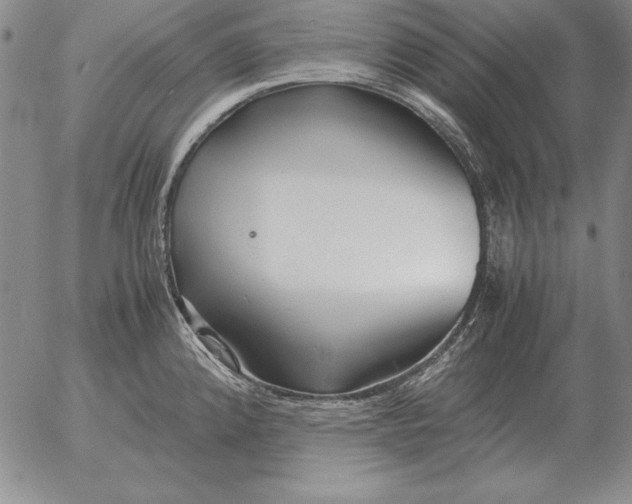 X0000053111192200508012116