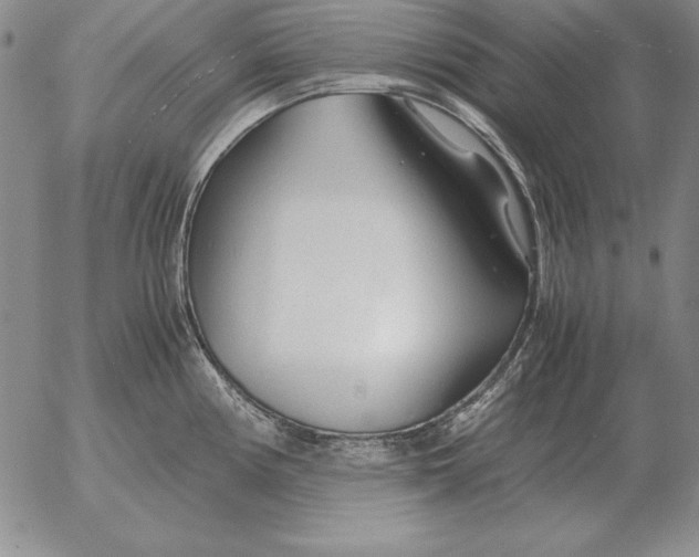 X0000053111194200508012116