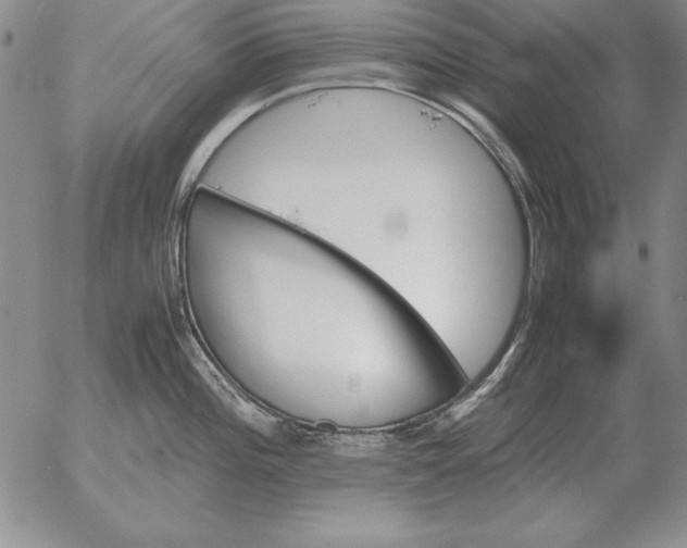 X0000053111196200508012116