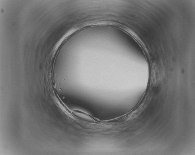 X0000053111197200508012116