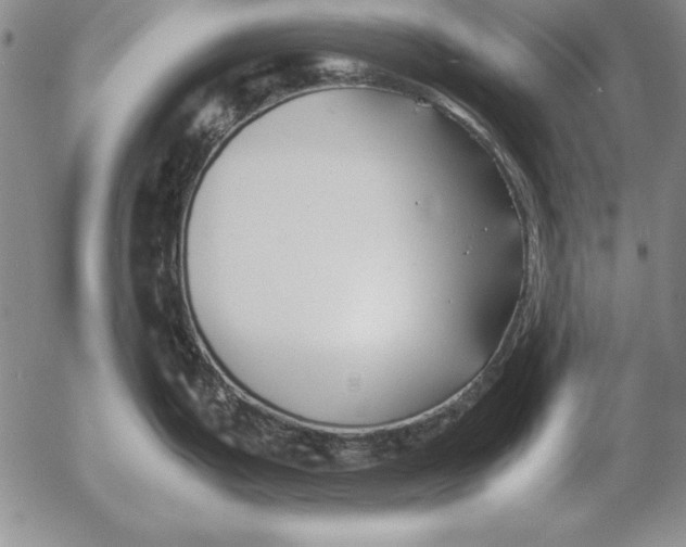 X0000053111199200508012116