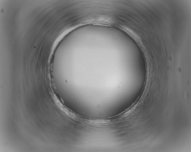 X0000053111200200508012116