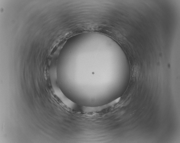 X0000053111202200508012115