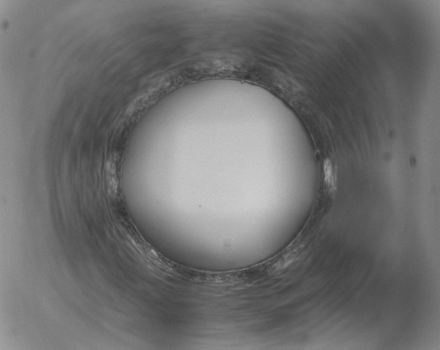 X0000053111203200508012115