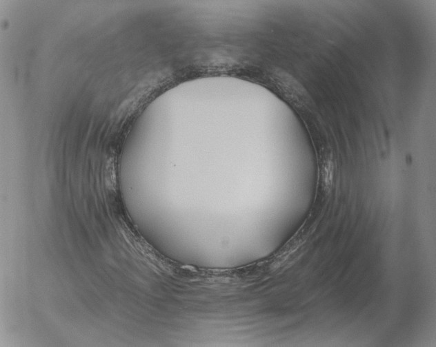 X0000053111204200508012116