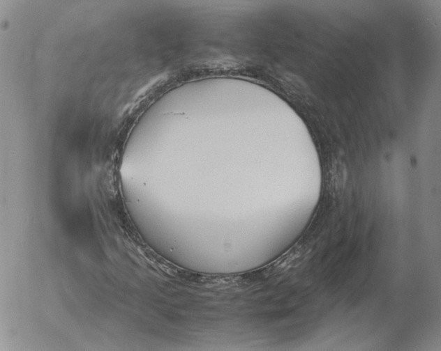 X0000053111205200508012116